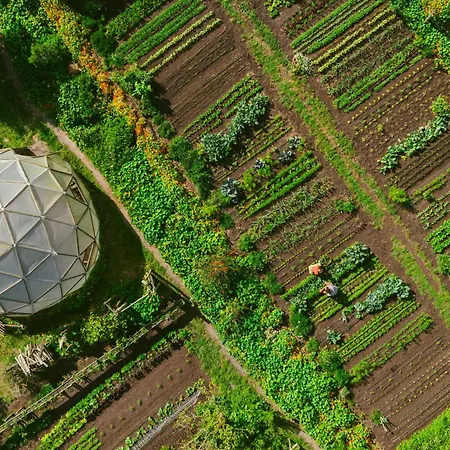 Hotel Areias Do Seixo