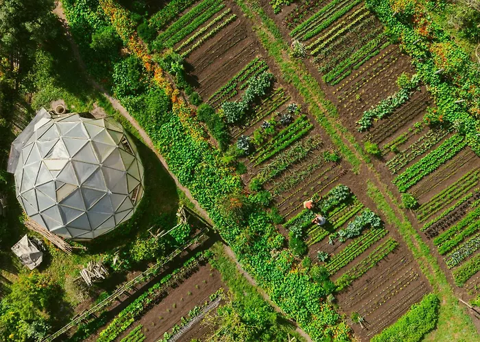 Hotel Areias Do Seixo